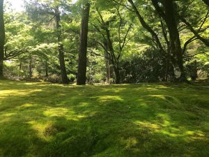 5月も終わり