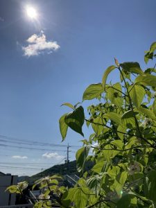 気持ちのいい空