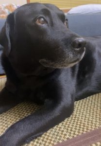 家族と