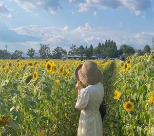 夏と言えば・・・
