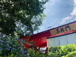 とある美術館へ…