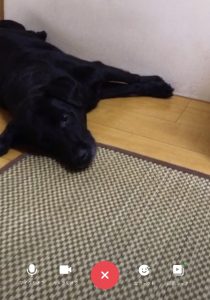 癒しの時間
