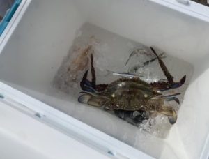 やっぱり、海は最高！！