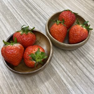 大好きな季節♡
