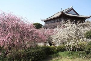 春の気配