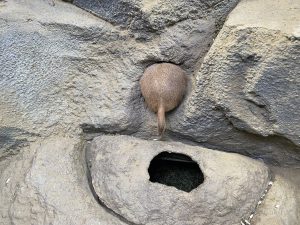 だ～れだ～