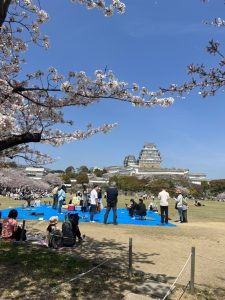 お花見????
