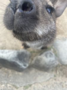 GWのおはなし