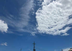 真夏の地縄張り