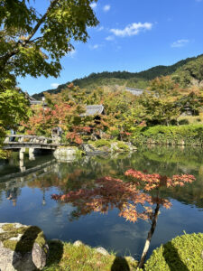 紅葉