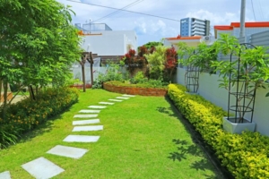 四季を感じる植栽について