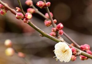 お引渡し後もお付き合い