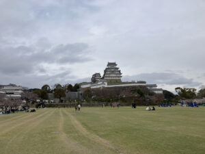 社内お花見