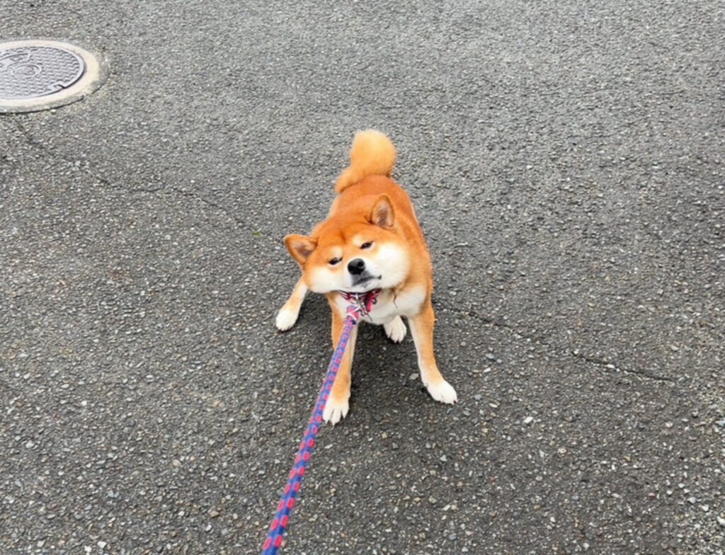 宮脇　未空