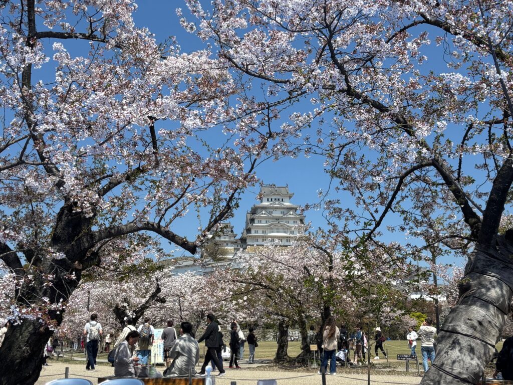 『 岸原建築日記 』･･･ 揖保郡太子町常全にて