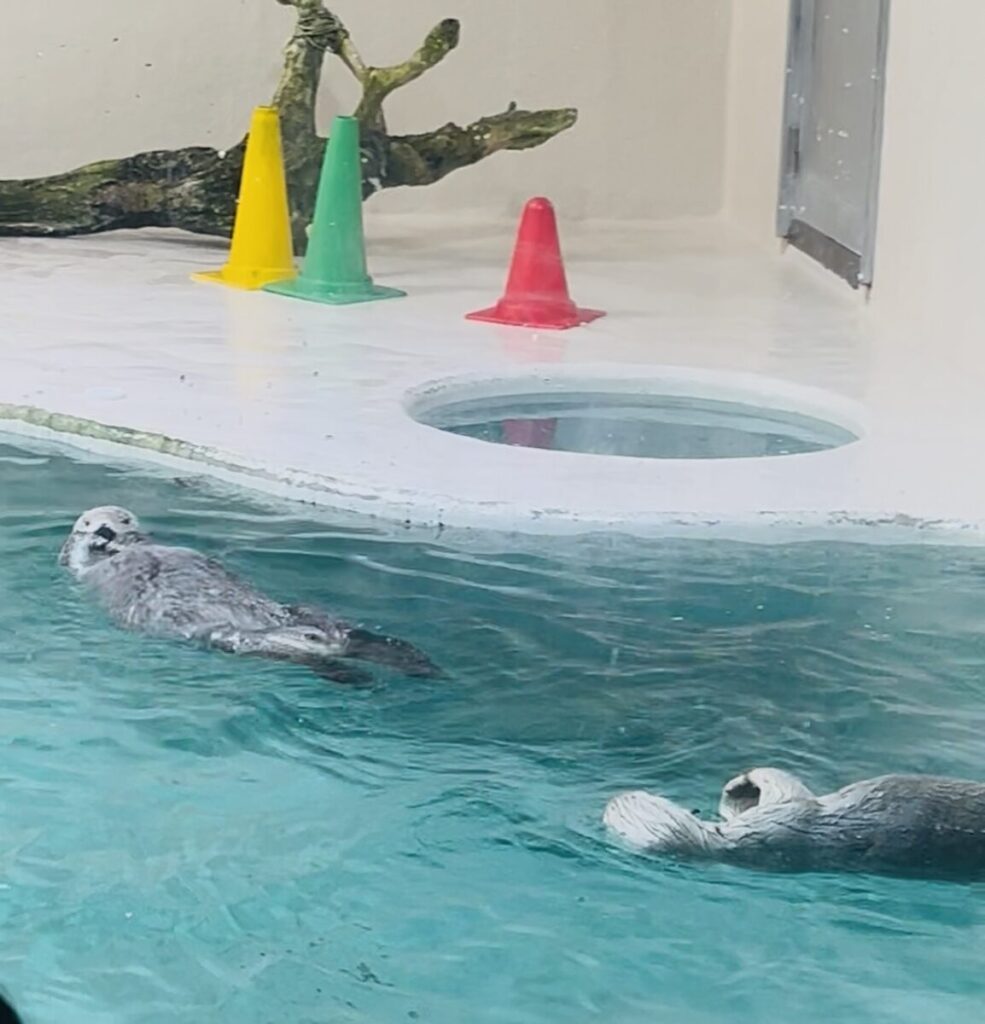 鳥羽水族館へ