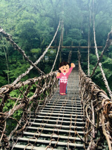 秘境の吊橋