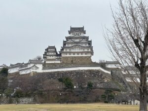 『 岸原建築日記 』･･･ 姫路城でのお花見日程が近づいてきました！